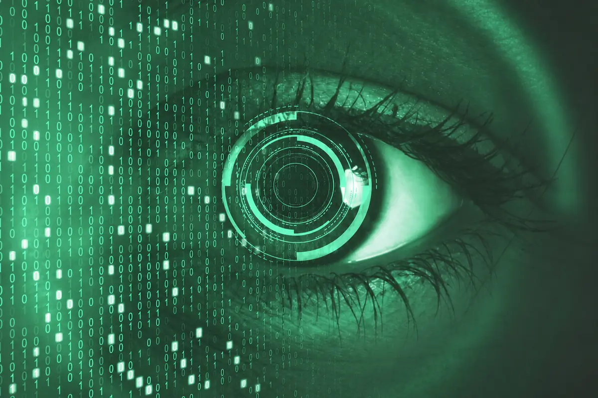 eye 